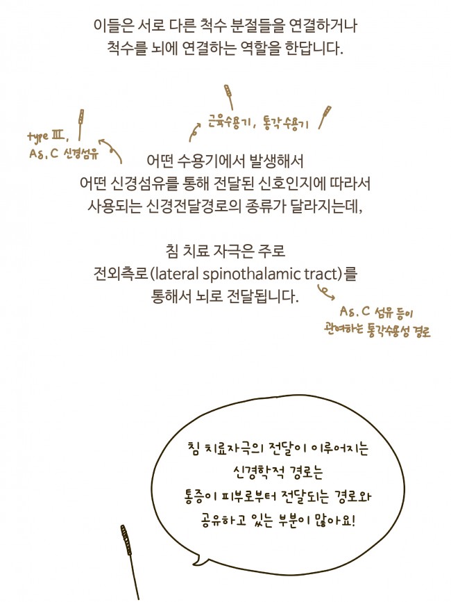 침술의 기전 1편_page-0013.jpg