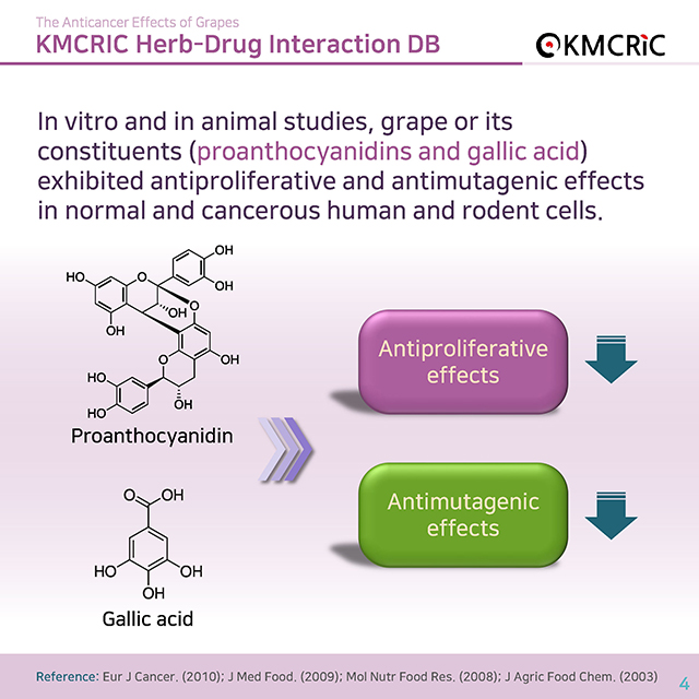 0045 cardnews-약물상호작용 항암 치료에 도움이 되는 포도-영어_페이지_04.jpg