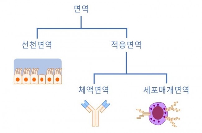 동향분석-[동향]-img-01.jpg