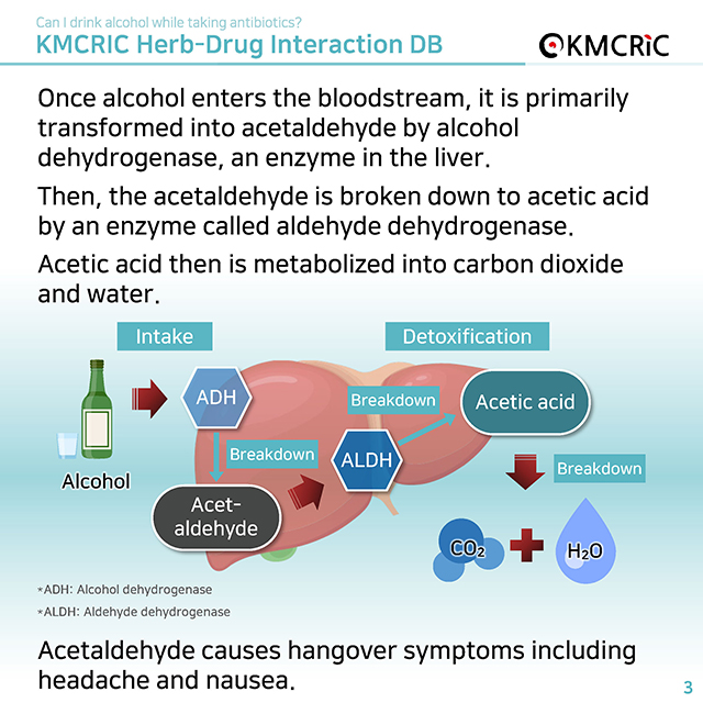 0047 cardnews-약물상호작용 항생제 먹을 때 술 마시면 안 되나요-영어_페이지_3.jpg