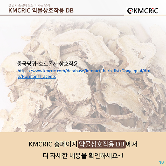 0040 cardnews-약물상호작용 갱년기 증상에 도움이 되는 당귀-한글_페이지_10.jpg