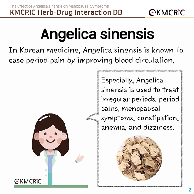 0040 cardnews-약물상호작용 갱년기 증상에 도움이 되는 당귀-영어_페이지_02.jpg