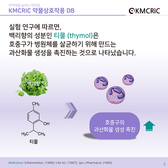 0053 cardnews-약물상호작용 면역력을 높이는 백리향-한글_페이지_5.jpg