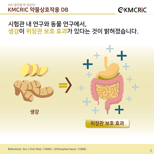 0055 cardnews-약물상호작용 속이 불편할 땐 생강차-한글_페이지_03.jpg