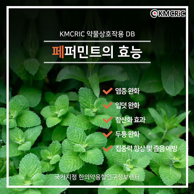 0056 cardnews-약물상호작용 페퍼민트의 효능-한글_페이지_01.jpg