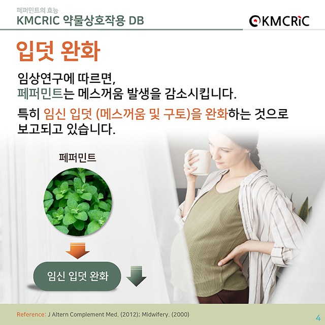 0056 cardnews-약물상호작용 페퍼민트의 효능-한글_페이지_04.jpg