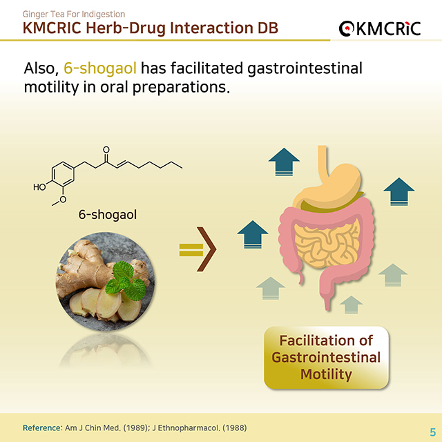 0055 cardnews-약물상호작용 속이 불편할 땐 생강차-영어_페이지_05.jpg
