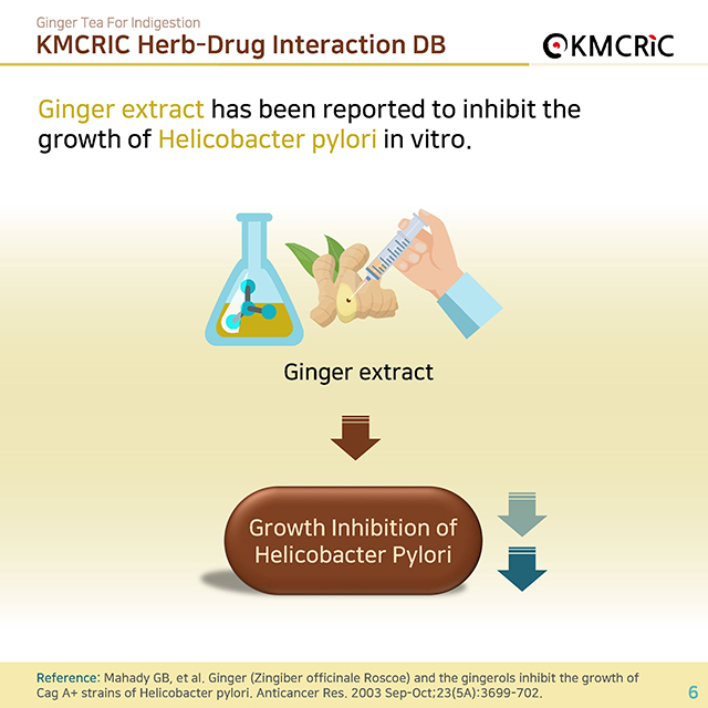 0055 cardnews-약물상호작용 속이 불편할 땐 생강차-영어_페이지_06.jpg