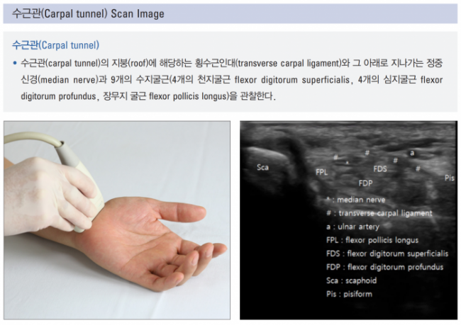 동향분석-[동향]-img-02.png