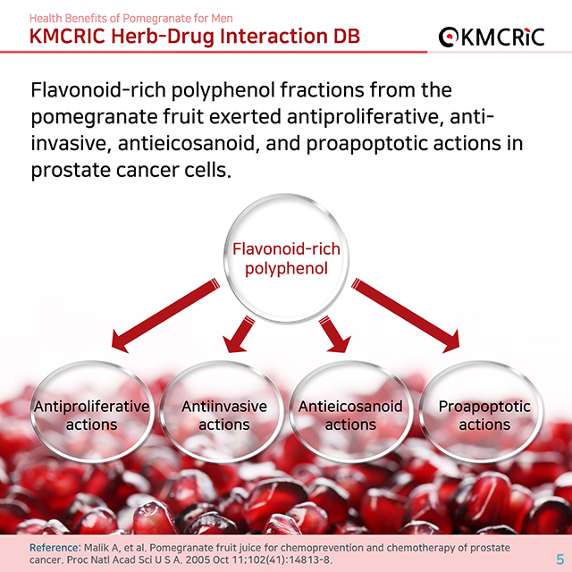 0049 cardnews-약물상호작용 남성에게도 좋은 석류-영어_페이지_5.jpg