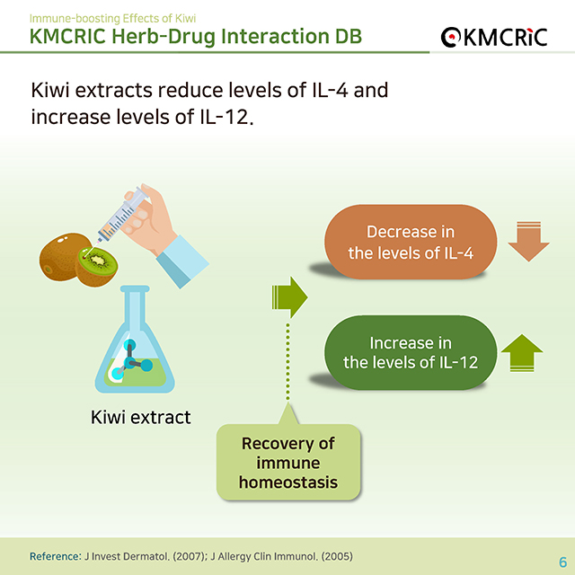 0050 cardnews-약물상호작용면역 건강에 도움을 주는 키위-영어_페이지_6.jpg