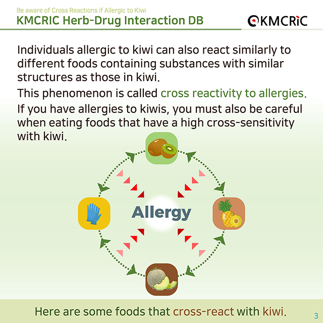 0052 cardnews-약물상호작용면역 키위 알레르기가 있으면 알레르기 교차반응에 주의하세요-영어_페이지_03.jpg