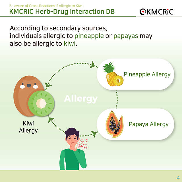 0052 cardnews-약물상호작용면역 키위 알레르기가 있으면 알레르기 교차반응에 주의하세요-영어_페이지_04.jpg