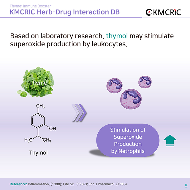 0053 cardnews-약물상호작용 면역력을 높이는 백리향-영어_페이지_5.jpg