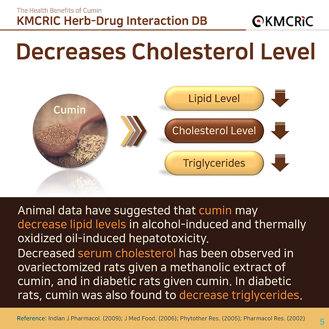 0058 cardnews-약물상호작용 커민 쯔란 양꼬치 향신료의 효능-영어_페이지_05.jpg