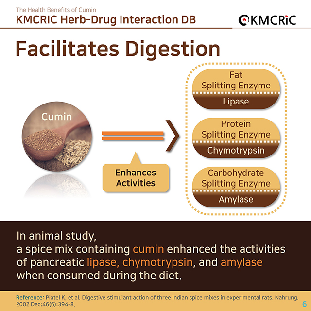 0058 cardnews-약물상호작용 커민 쯔란 양꼬치 향신료의 효능-영어_페이지_06.jpg