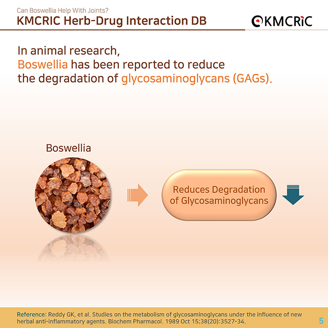 0059 cardnews-약물상호작용 관절에 좋다는 보스웰리아 근거는-영어_페이지_05.jpg