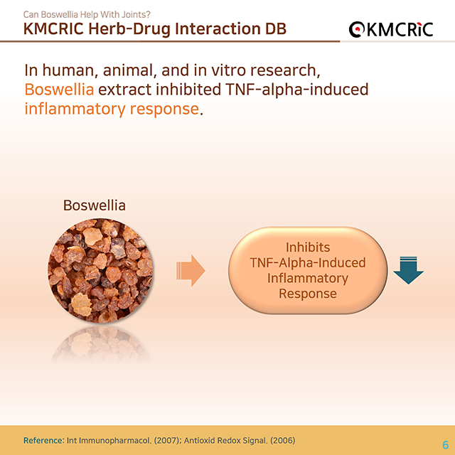 0059 cardnews-약물상호작용 관절에 좋다는 보스웰리아 근거는-영어_페이지_06.jpg