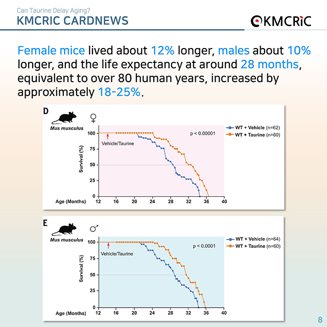 0074 cardnews-타우린이 노화를 늦출 수 있을까-영어_페이지_08.jpg