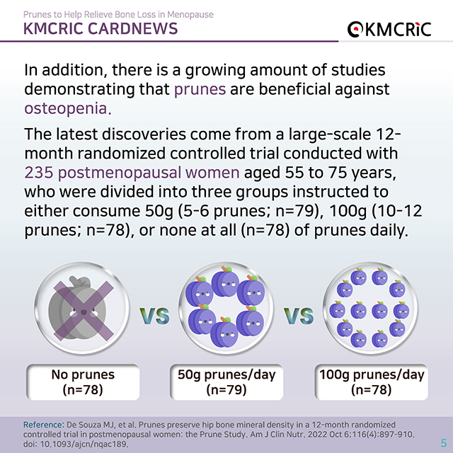 0084 cardnews-폐경기 골감소증 완화에 도움 되는 푸룬(Prune)-영어_페이지_05.jpg