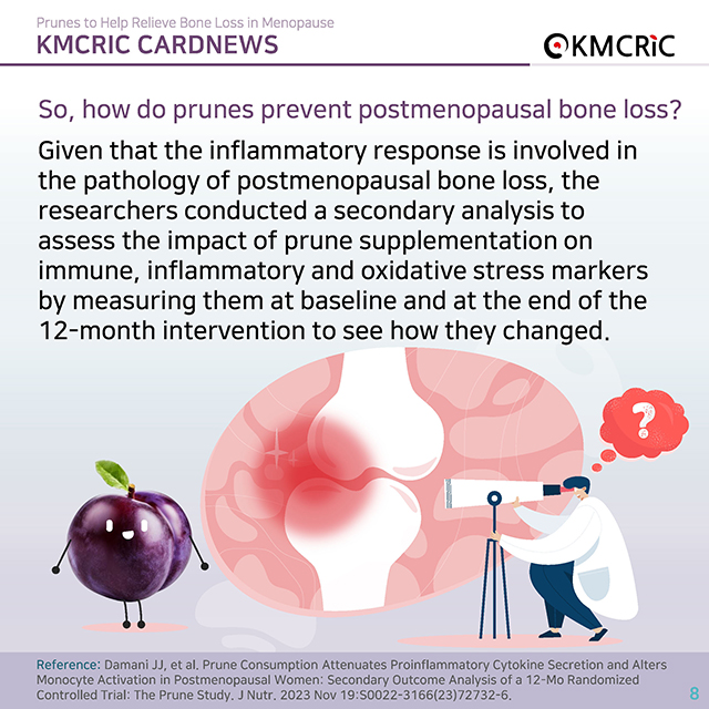 0084 cardnews-폐경기 골감소증 완화에 도움 되는 푸룬(Prune)-영어_페이지_08.jpg
