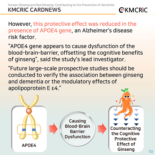 0085 cardnews-치매 예방에 도움이 되는 인삼과 홍삼-영어_페이지_10.jpg